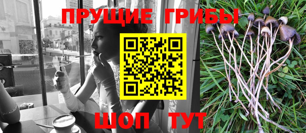 Галлюциногенные грибы GOLDEN TEACHER  Вход с VPN  Казань 